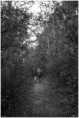 /album/divers/div-27-jpg1/